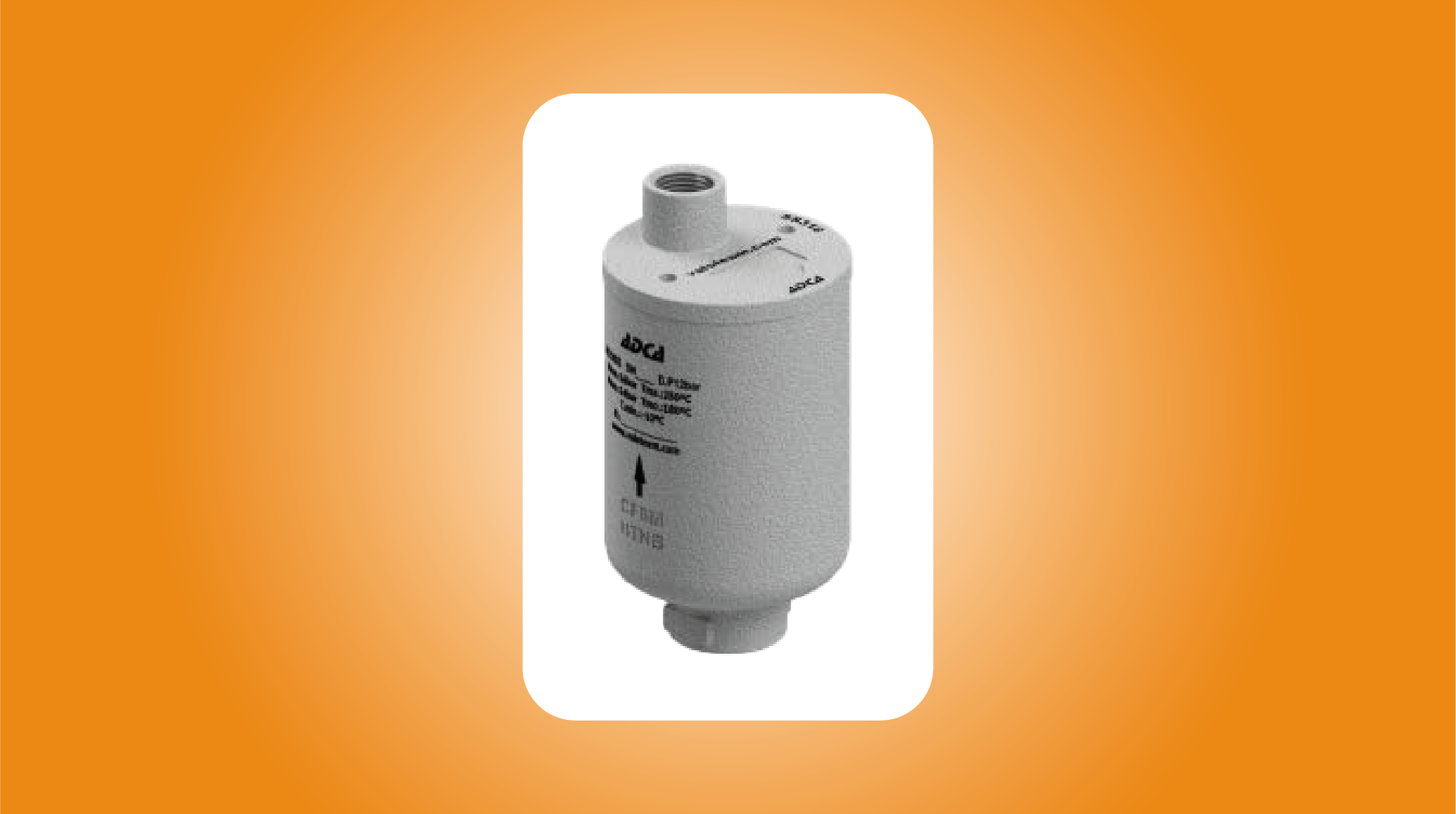 Purgeur d'air Inox joint VITON